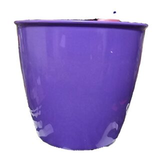 Vaso portaoggetti viola 10x11 cm